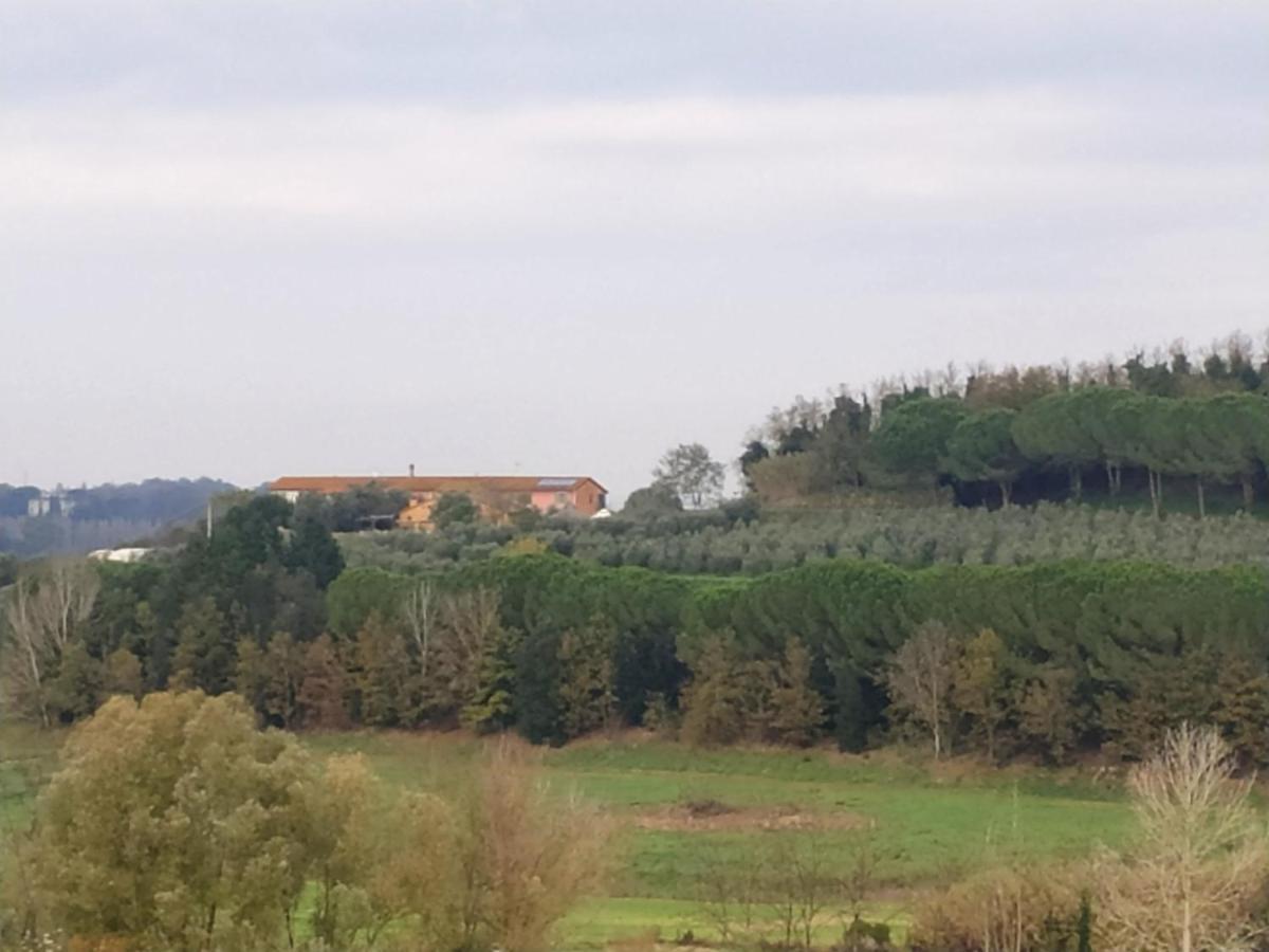 Crespina Agriturismo L'Isola מראה חיצוני תמונה