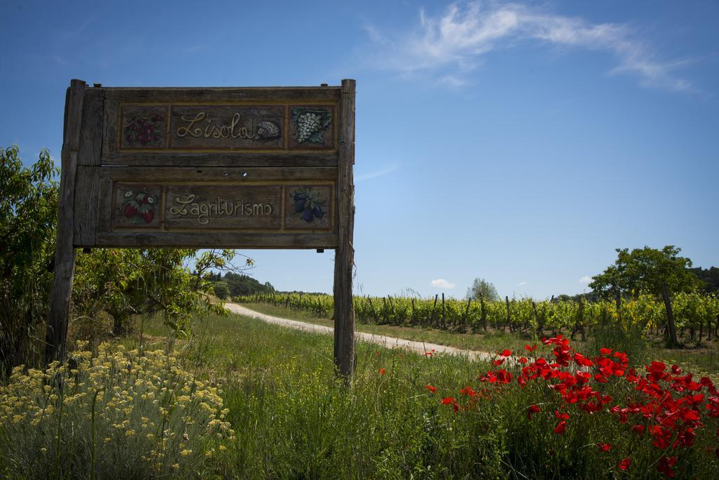 Crespina Agriturismo L'Isola חדר תמונה