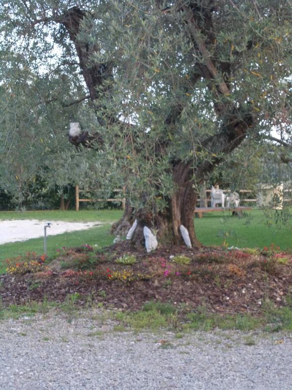 Crespina Agriturismo L'Isola חדר תמונה