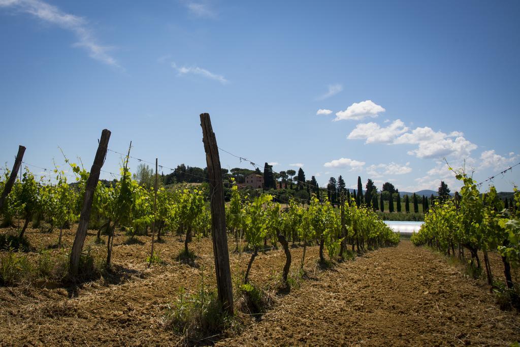 Crespina Agriturismo L'Isola מראה חיצוני תמונה