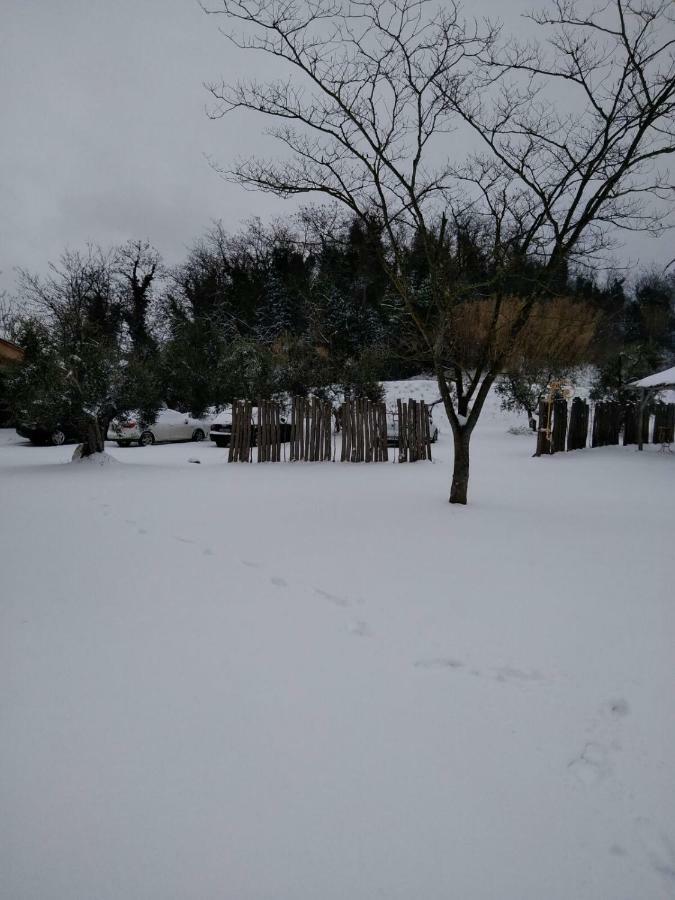 Crespina Agriturismo L'Isola מראה חיצוני תמונה